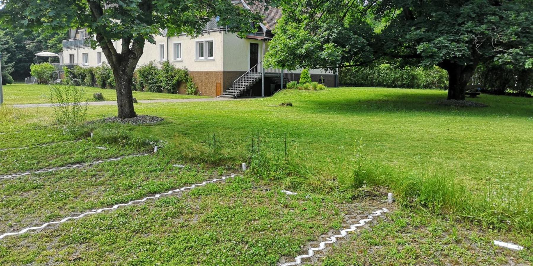 Niederwald Apartment Iffezheim Ngoại thất bức ảnh